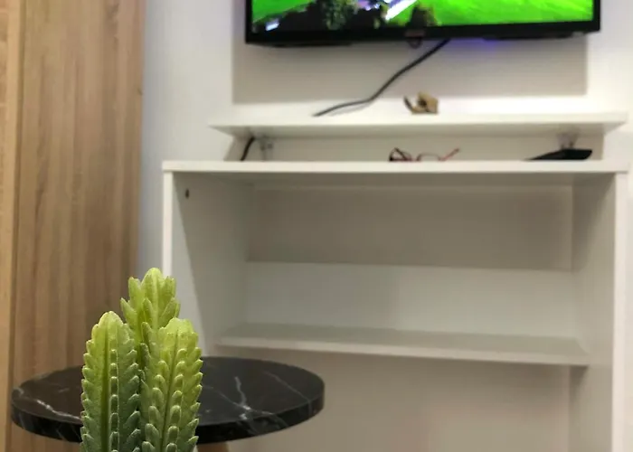 Center * פודגוריצה